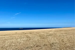 Cornwall holiday cottage Harlyn view sw coastal path gallery